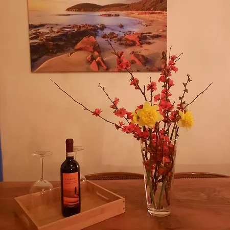 Confortevole Bilocale A Pochi Chilometri Dal Mare Con Ampia Terrazza Privata E Vista Sulla Campagna Toscana Apartment *